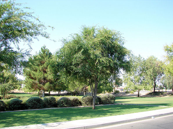 Dsc00007.jpg